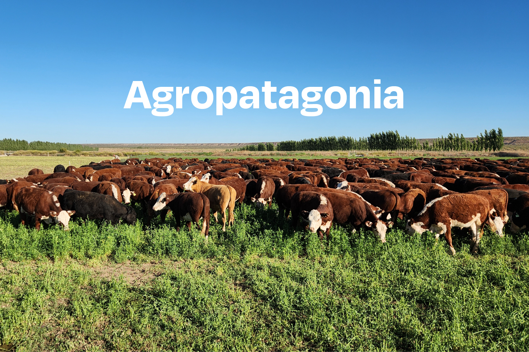 Paisaje de la Patagonia